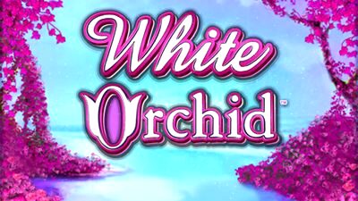 Top Slot Game of the Month: White Orchid Slot