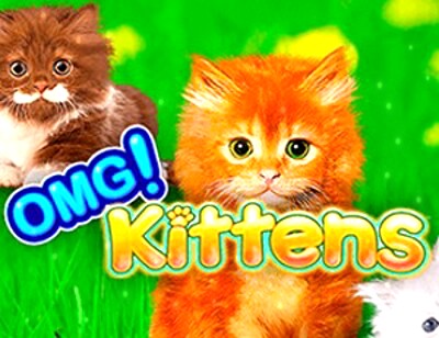 Top Slot Game of the Month: Omg Kittens Slots