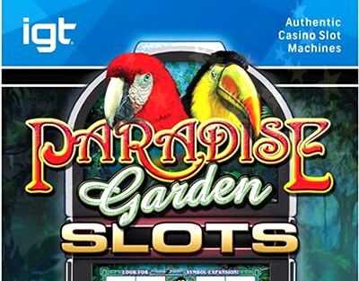 Macaw money slot machines