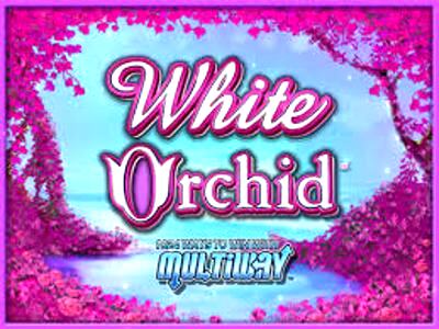 White Orchid Slot