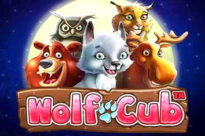 Top Slot Game of the Month: Wolf Cub Slot