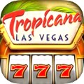 Experience a host of top casino games!
