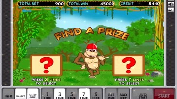 Crazy Monkey Free Slot