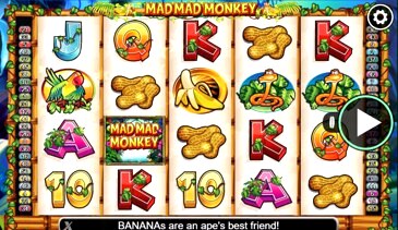 Mad Monkey Slot Machine