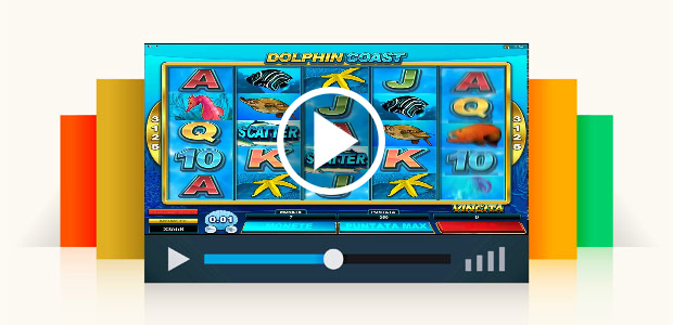 Dolphin Coast Video Slot 3125 Combinazioni