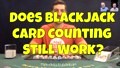 Does Blackjack Card Counting Still Work? Interview with a