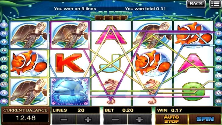 Dolphin Cash Slot