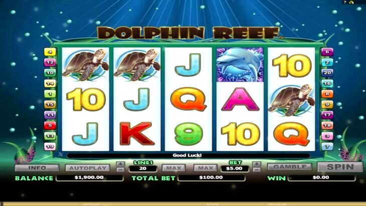 Dolphin Coast Slot