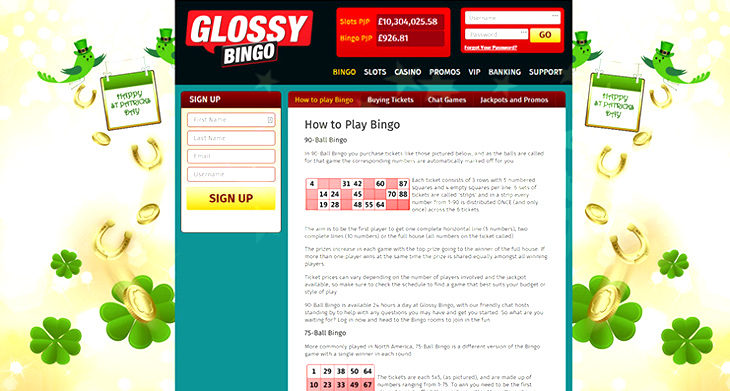 Glossy Bingo 150 Free Spins